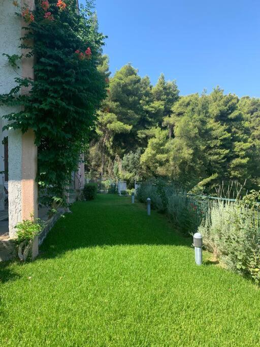 Appartamento Amfiteatrico Sea View - Kalamos Attiki Markopoulon Oropou Esterno foto